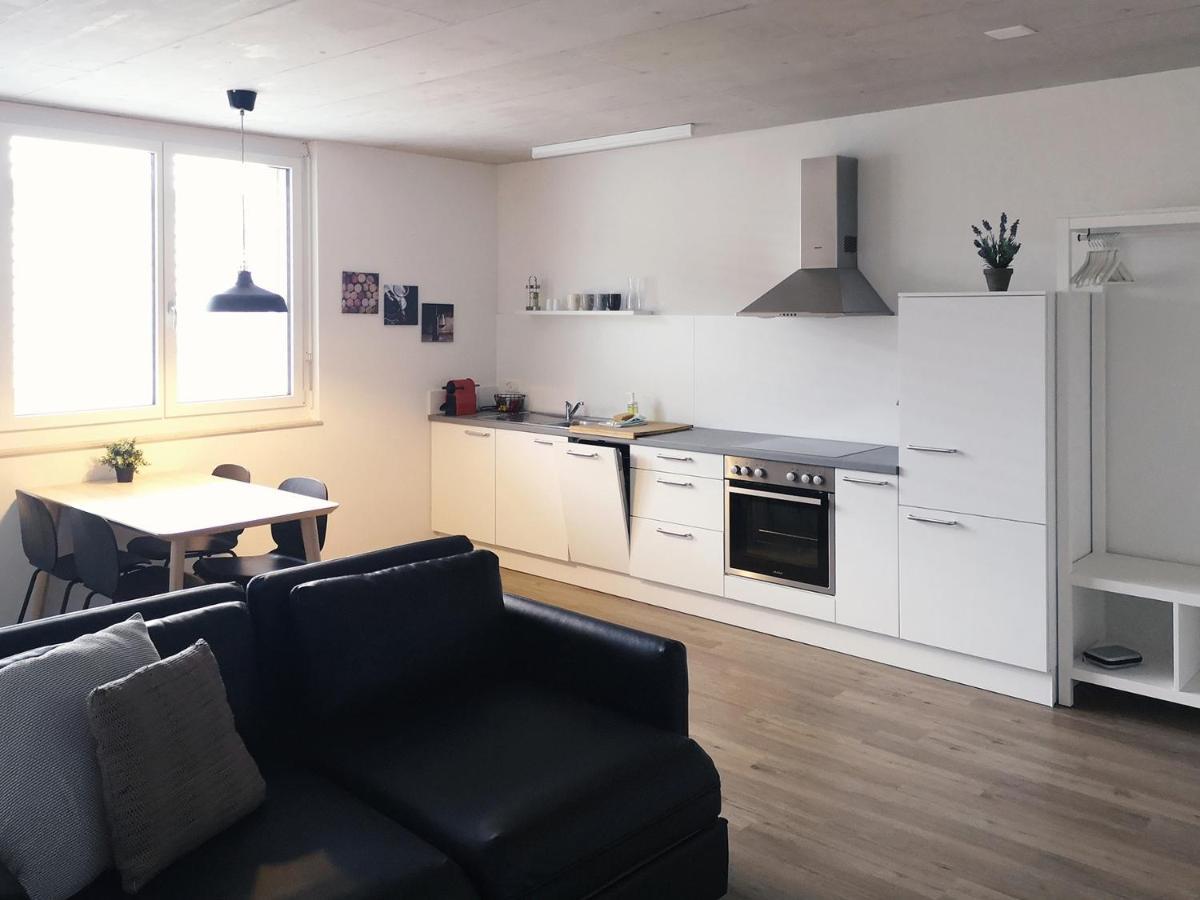 שאפהאוזן Atrium Apartments מראה חיצוני תמונה