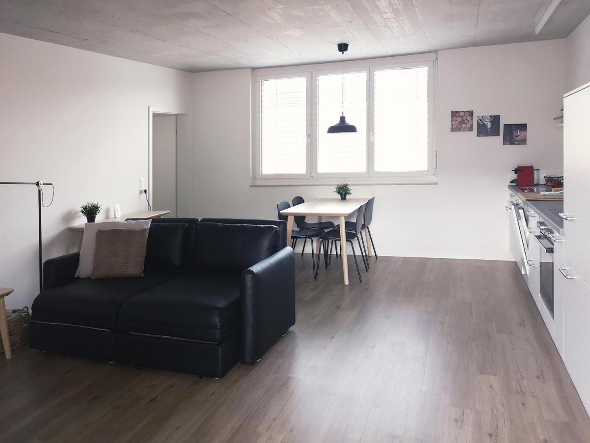 שאפהאוזן Atrium Apartments מראה חיצוני תמונה