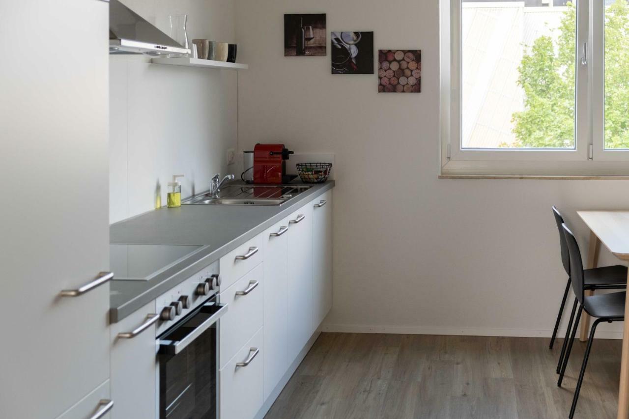 שאפהאוזן Atrium Apartments מראה חיצוני תמונה
